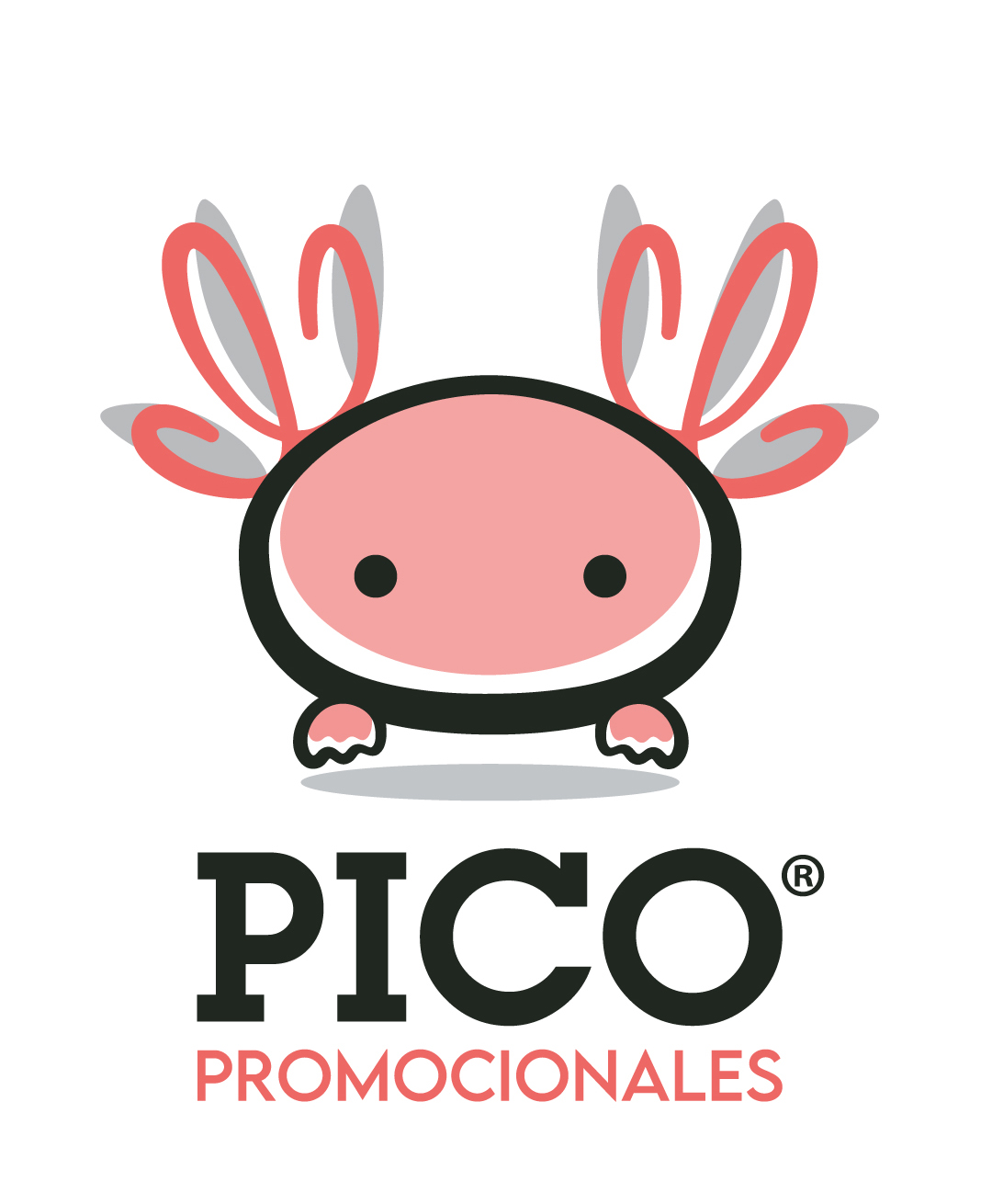 Pico distribuidor